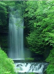 glencar_waterfall.jpg (Glencar Waterfall.jp)